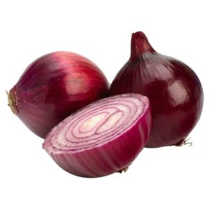 Onion hybrid varieties genus Allium